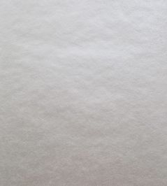 Carla Wallpaper by 1838 Wallcoverings Ivory Carla Wallpaper by 1838 Wallcoverings Ivory