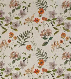 Carnation Fabric by Prestigious Textiles Autumn Carnation Fabric by Prestigious Textiles Autumn