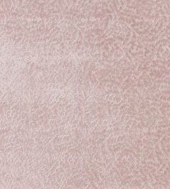 Cartouche Fabric by Designers Guild Blossom Cartouche Fabric by Designers Guild Blossom