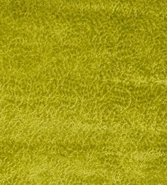 Cartouche Fabric by Designers Guild Moss Cartouche Fabric by Designers Guild Moss