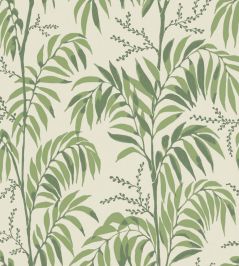 Casablanca Afternoon Wallpaper by Langelid Von Bromssen Palm Green Casablanca Afternoon Wallpaper by Langelid Von Bromssen Palm Green