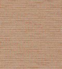 Cassia Fabric by Harlequin Clementine/Rhubarb/Rust Cassia Fabric by Harlequin Clementine/Rhubarb/Rust