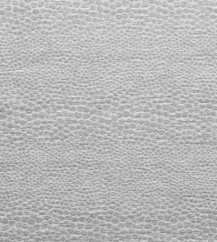 Castus Fabric by Clarke & Clarke Dove Castus Fabric by Clarke & Clarke Dove