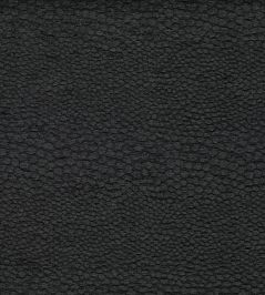 Castus Fabric by Clarke & Clarke Ebony Castus Fabric by Clarke & Clarke Ebony