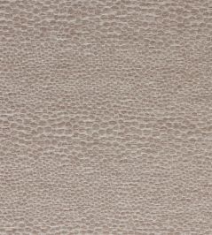 Castus Fabric by Clarke & Clarke Mink Castus Fabric by Clarke & Clarke Mink
