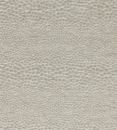 Castus Fabric by Clarke & Clarke Pebble Castus Fabric by Clarke & Clarke Pebble