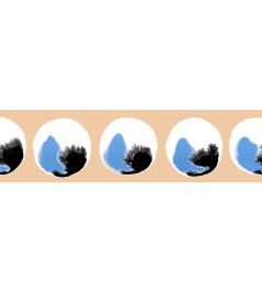 Cat's Eye Border Wallpaper by CommonRoom Sand Cat's Eye Border Wallpaper by CommonRoom Sand
