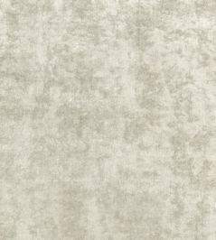 Celeste Velvet Fabric by Thibaut Bisque Celeste Velvet Fabric by Thibaut Bisque