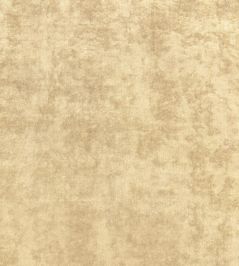 Celeste Velvet Fabric by Thibaut Camel Celeste Velvet Fabric by Thibaut Camel