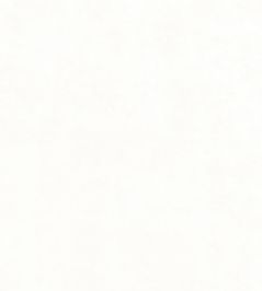 Celeste Velvet Fabric by Thibaut Ivory Celeste Velvet Fabric by Thibaut Ivory