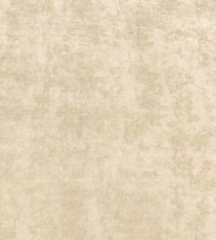 Celeste Velvet Fabric by Thibaut Sand Celeste Velvet Fabric by Thibaut Sand