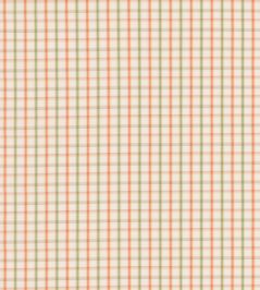Checkers Fabric by George & Minnie Rose/Sage Checkers Fabric by George & Minnie Rose/Sage