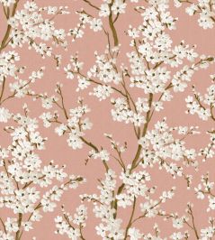 Cherry Blossom Wallpaper by Coordonne Rose Cherry Blossom Wallpaper by Coordonne Rose