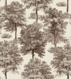 Chestnut Tree Wallpaper by Coordonne Clay Chestnut Tree Wallpaper by Coordonne Clay