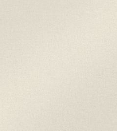 Chiaro Fabric by Black Edition Jicama Chiaro Fabric by Black Edition Jicama