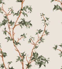 Chinese Branch Wallpaper by Cole & Son Leaf Green Chinese Branch Wallpaper by Cole & Son Leaf Green