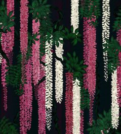 Wisteria Alba Mural by Christian Lacroix Magenta Wisteria Alba Mural by Christian Lacroix Magenta