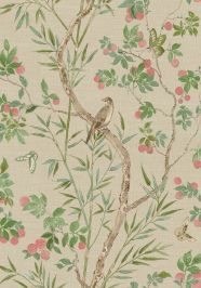 Claire Wallpaper by Thibaut Coral and Green Claire Wallpaper by Thibaut Coral and Green