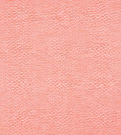 Clara Fabric by Thibaut Coral Clara Fabric by Thibaut Coral