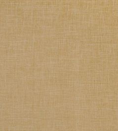 Albany Fabric by Clarke & Clarke Antique Albany Fabric by Clarke & Clarke Antique