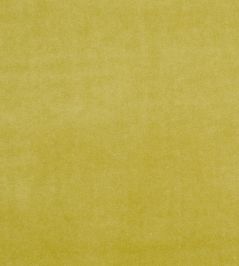 Alvar Fabric by Clarke & Clarke Olive Alvar Fabric by Clarke & Clarke Olive