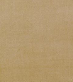 Alvar Fabric by Clarke & Clarke Antique Alvar Fabric by Clarke & Clarke Antique