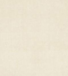 Alvar Fabric by Clarke & Clarke Birch Alvar Fabric by Clarke & Clarke Birch