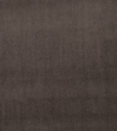 Alvar Fabric by Clarke & Clarke Bracken Alvar Fabric by Clarke & Clarke Bracken