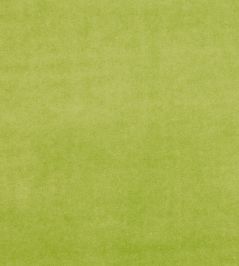 Alvar Fabric by Clarke & Clarke Citron Alvar Fabric by Clarke & Clarke Citron