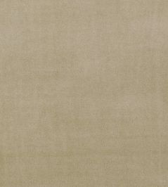 Alvar Fabric by Clarke & Clarke Lark Alvar Fabric by Clarke & Clarke Lark