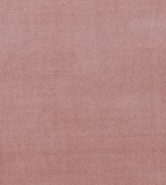 Alvar Fabric by Clarke & Clarke Rose Alvar Fabric by Clarke & Clarke Rose