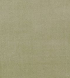 Alvar Fabric by Clarke & Clarke Sage Alvar Fabric by Clarke & Clarke Sage