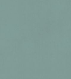 Alvar Fabric by Clarke & Clarke Bay Leaf Alvar Fabric by Clarke & Clarke Bay Leaf