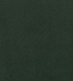 Alvar Fabric by Clarke & Clarke Forest Alvar Fabric by Clarke & Clarke Forest