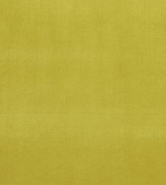 Alvar Fabric by Clarke & Clarke Lime Alvar Fabric by Clarke & Clarke Lime