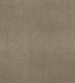 Alvar Fabric by Clarke & Clarke Oak Alvar Fabric by Clarke & Clarke Oak