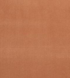Alvar Fabric by Clarke & Clarke Tamarind Alvar Fabric by Clarke & Clarke Tamarind