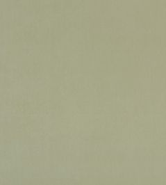Alvar Fabric by Clarke & Clarke Thyme Alvar Fabric by Clarke & Clarke Thyme