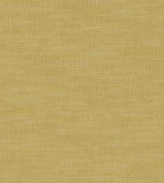 Amalfi Fabric by Clarke & Clarke Buttercup Amalfi Fabric by Clarke & Clarke Buttercup