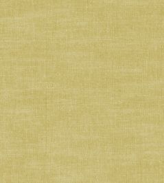 Amalfi Fabric by Clarke & Clarke Chartreuse Amalfi Fabric by Clarke & Clarke Chartreuse