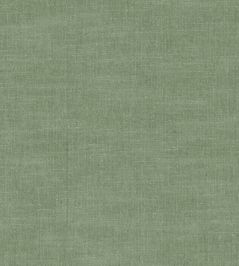Amalfi Fabric by Clarke & Clarke Herb Amalfi Fabric by Clarke & Clarke Herb