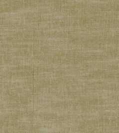 Amalfi Fabric by Clarke & Clarke Moss Amalfi Fabric by Clarke & Clarke Moss