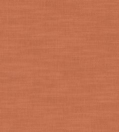 Amalfi Fabric by Clarke & Clarke Spice Amalfi Fabric by Clarke & Clarke Spice