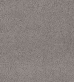 Mason Fabric by Clarke & Clarke Dove Mason Fabric by Clarke & Clarke Dove