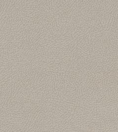 Mason Fabric by Clarke & Clarke Ivory Mason Fabric by Clarke & Clarke Ivory