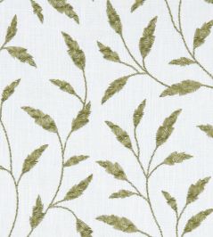 Fairford Fabric by Clarke & Clarke Olive Fairford Fabric by Clarke & Clarke Olive