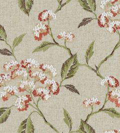 Summerby Fabric by Clarke & Clarke Spice Summerby Fabric by Clarke & Clarke Spice