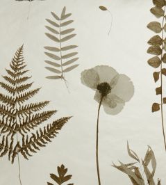Herbarium Wallpaper by Clarke & Clarke Charcoal/Gold Herbarium Wallpaper by Clarke & Clarke Charcoal/Gold