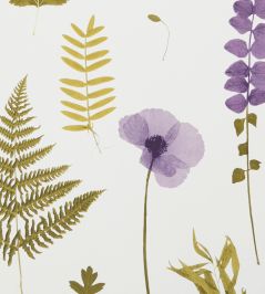 Herbarium Wallpaper by Clarke & Clarke Heather Herbarium Wallpaper by Clarke & Clarke Heather