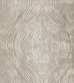 Luster Fabric by Clarke & Clarke Mocha Luster Fabric by Clarke & Clarke Mocha